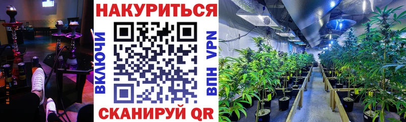 Где можно купить наркотики Шуя Гашиш A-PVP MDMA Cocaine МЕФ Амфетамин Галлюциногенные грибы