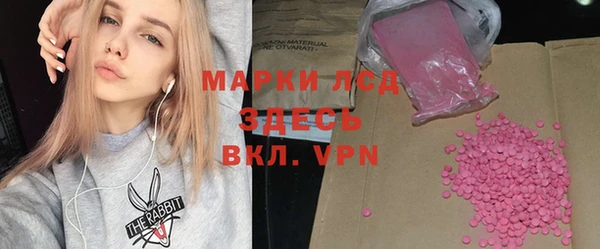 индика Алзамай