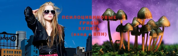 индика Алзамай