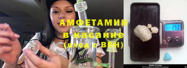 индика Алзамай