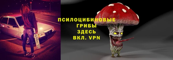 дмт Алексин