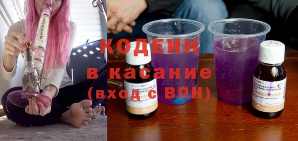 индика Алзамай