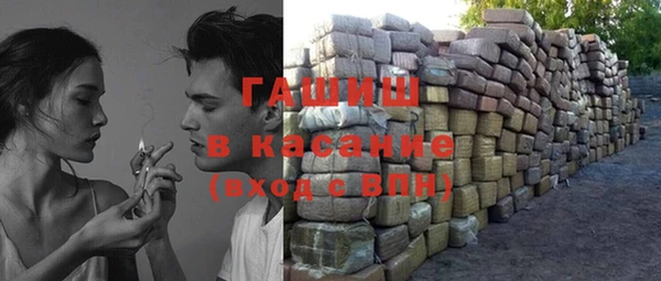 индика Алзамай