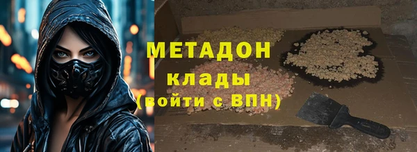 индика Алзамай