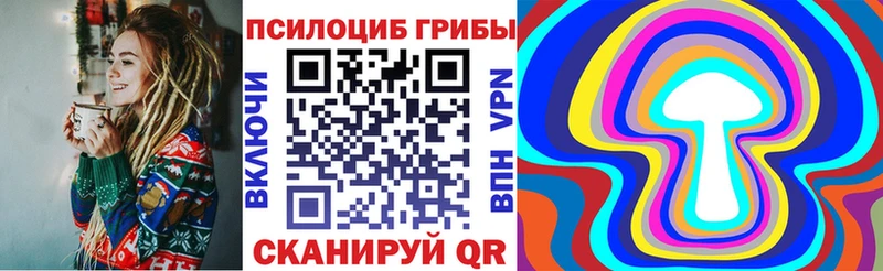 нарко площадка наркотические препараты  купить наркотики сайты  Шуя  Псилоцибиновые грибы Psilocybe 